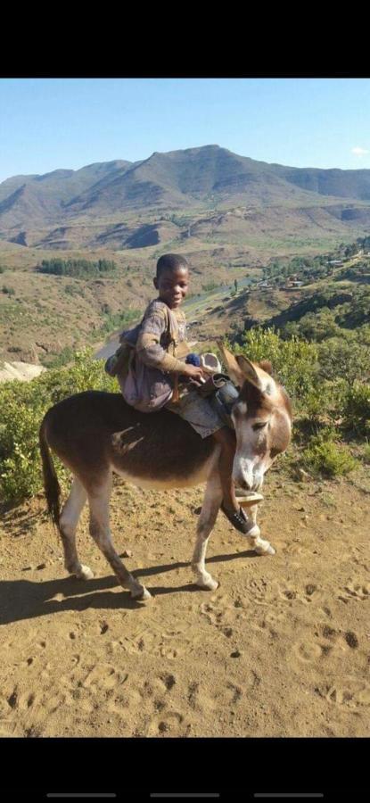 Twin Peaks Cottages And Horse Trekking Maseru Exterior photo