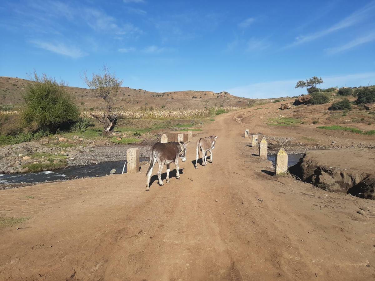 Twin Peaks Cottages And Horse Trekking Maseru Exterior photo